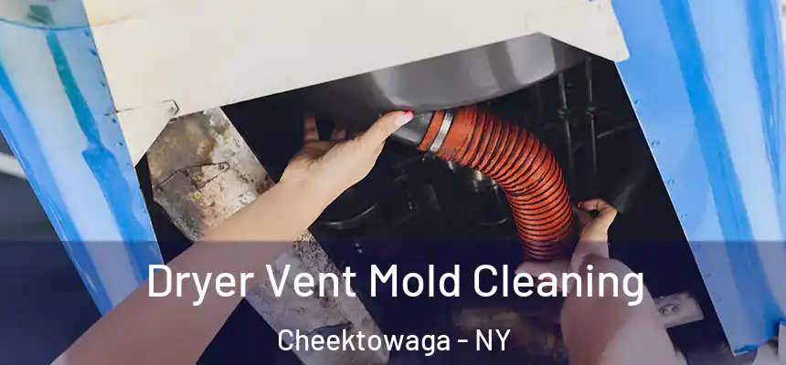 Dryer Vent Mold Cleaning Cheektowaga - NY