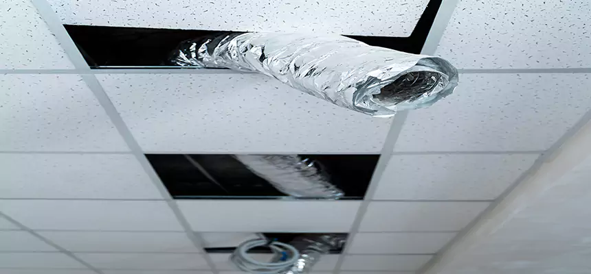 Our Air Duct Pet Hair Removal Services in Cheektowaga, NY