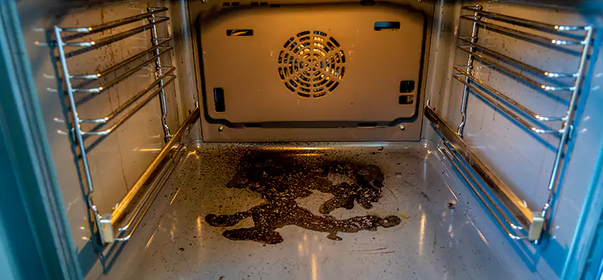 Our Dryer Vent Mold Cleaning Services in Cheektowaga, NY