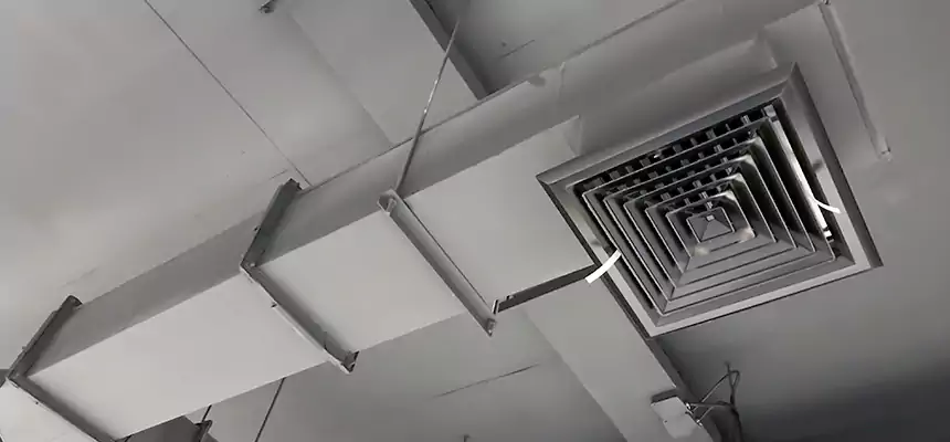 Our Rodent Droppings In Vents Services in Cheektowaga, NY