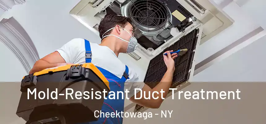  Mold-Resistant Duct Treatment Cheektowaga - NY