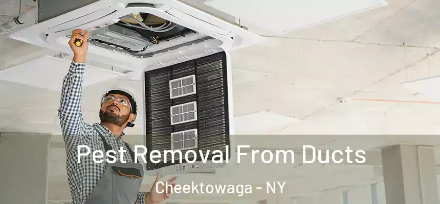 Pest Removal From Ducts Cheektowaga - NY