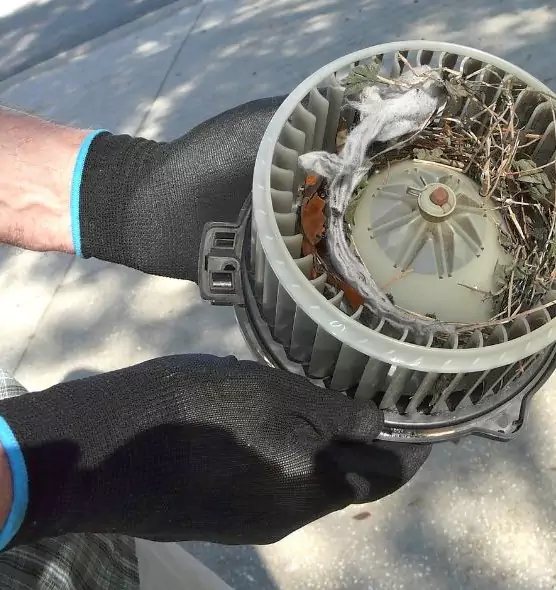 About Air Duct Mice Removal in Cheektowaga, NY