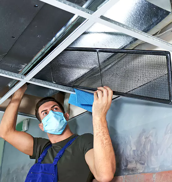 Professional Air Duct Pollen Cleaning in Cheektowaga, NY