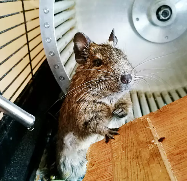 Why Homeowners & Businesses Trust Us Cheektowaga, NY