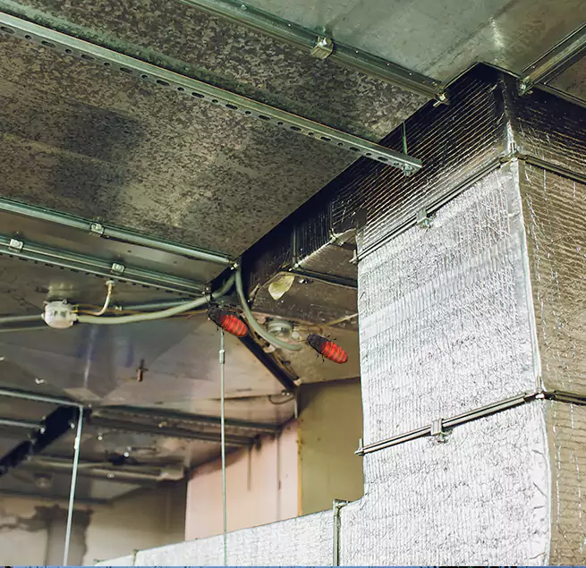 Why Homeowners & Businesses Trust Us Cheektowaga, NY?