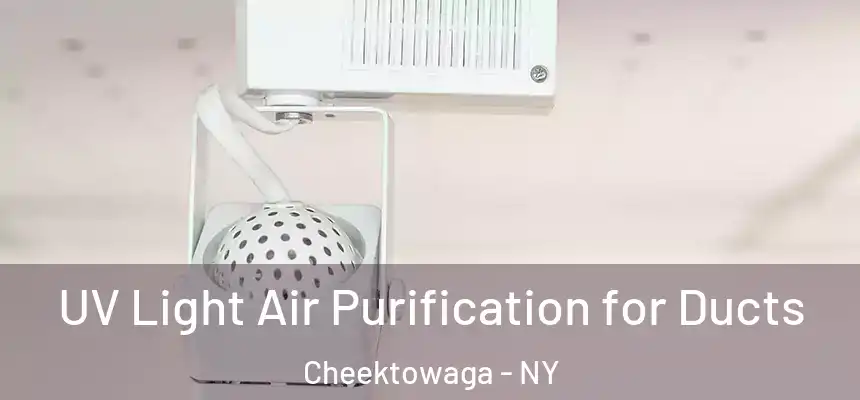 UV Light Air Purification for Ducts Cheektowaga - NY